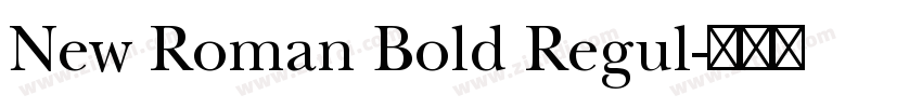 New Roman Bold Regul字体转换